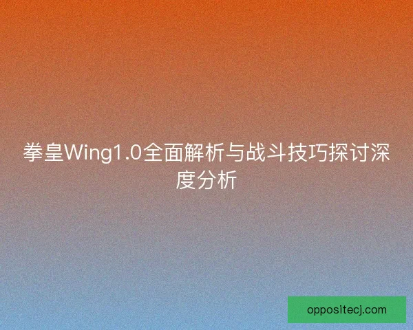 拳皇Wing1.0全面解析与战斗技巧探讨深度分析