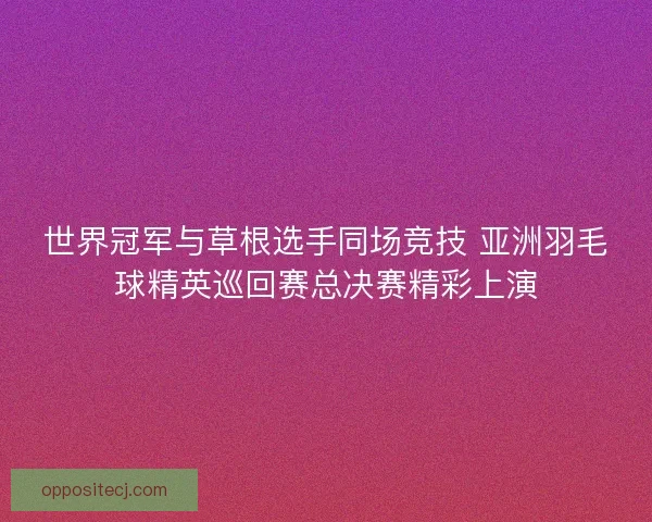 世界冠军与草根选手同场竞技 亚洲羽毛球精英巡回赛总决赛精彩上演 世界冠军与草根选手同场竞技 亚洲羽毛球精英巡回赛总决赛精彩上演