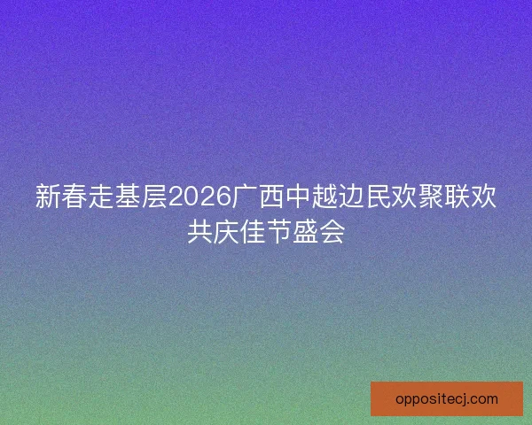 新春走基层2026广西中越边民欢聚联欢共庆佳节盛会