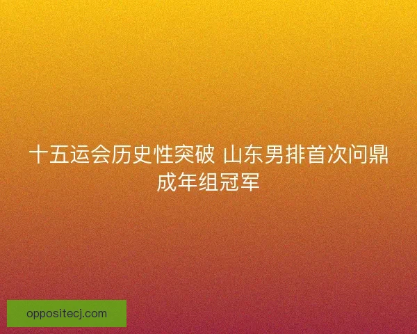十五运会历史性突破 山东男排首次问鼎成年组冠军 十五运会历史性突破 山东男排首次问鼎成年组冠军